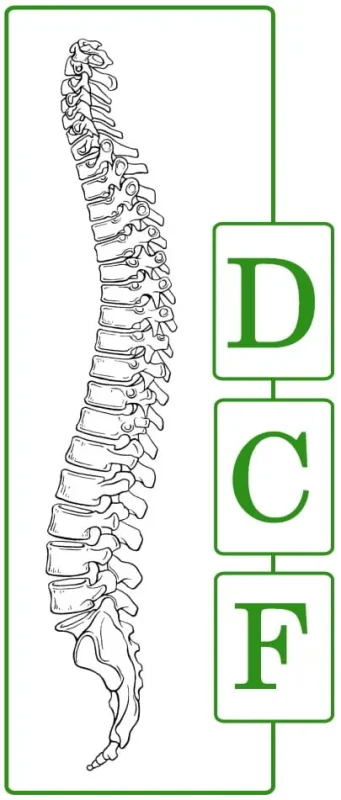 Dutch Chiropractic Federation