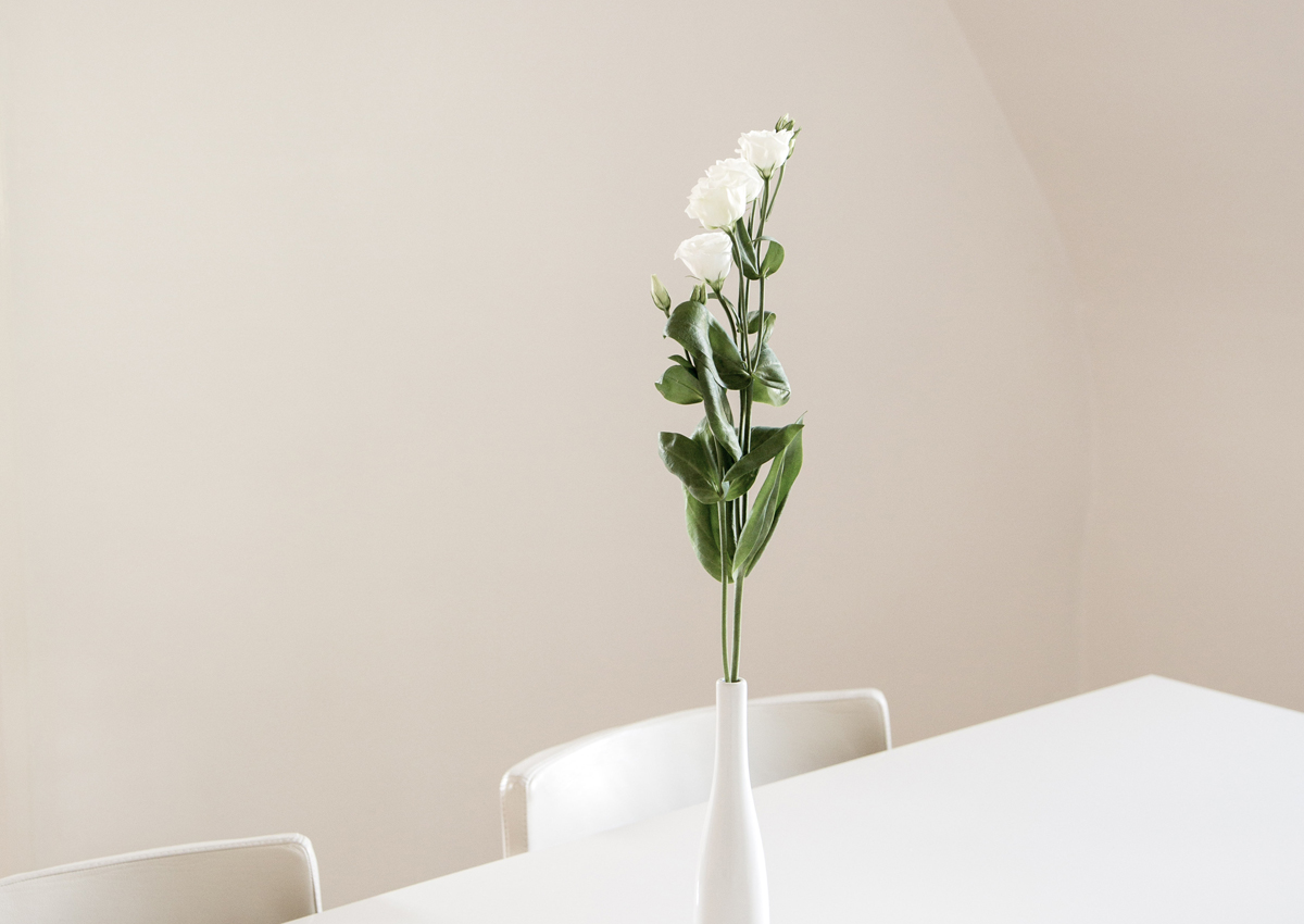 Witte bloemen in een smalle vaas op een witte tafel